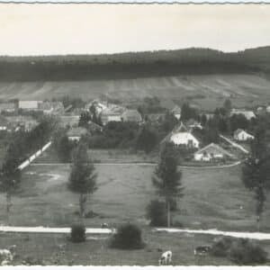 Carte postale en noir et blanc aux bords dentelés montrant une vue générale de Landresse. Les maisons du village sont entourées de verdure et des vaches paissent au premier plan. Le logo circulaire de l'éditeur Cim est visible en bas à droite.