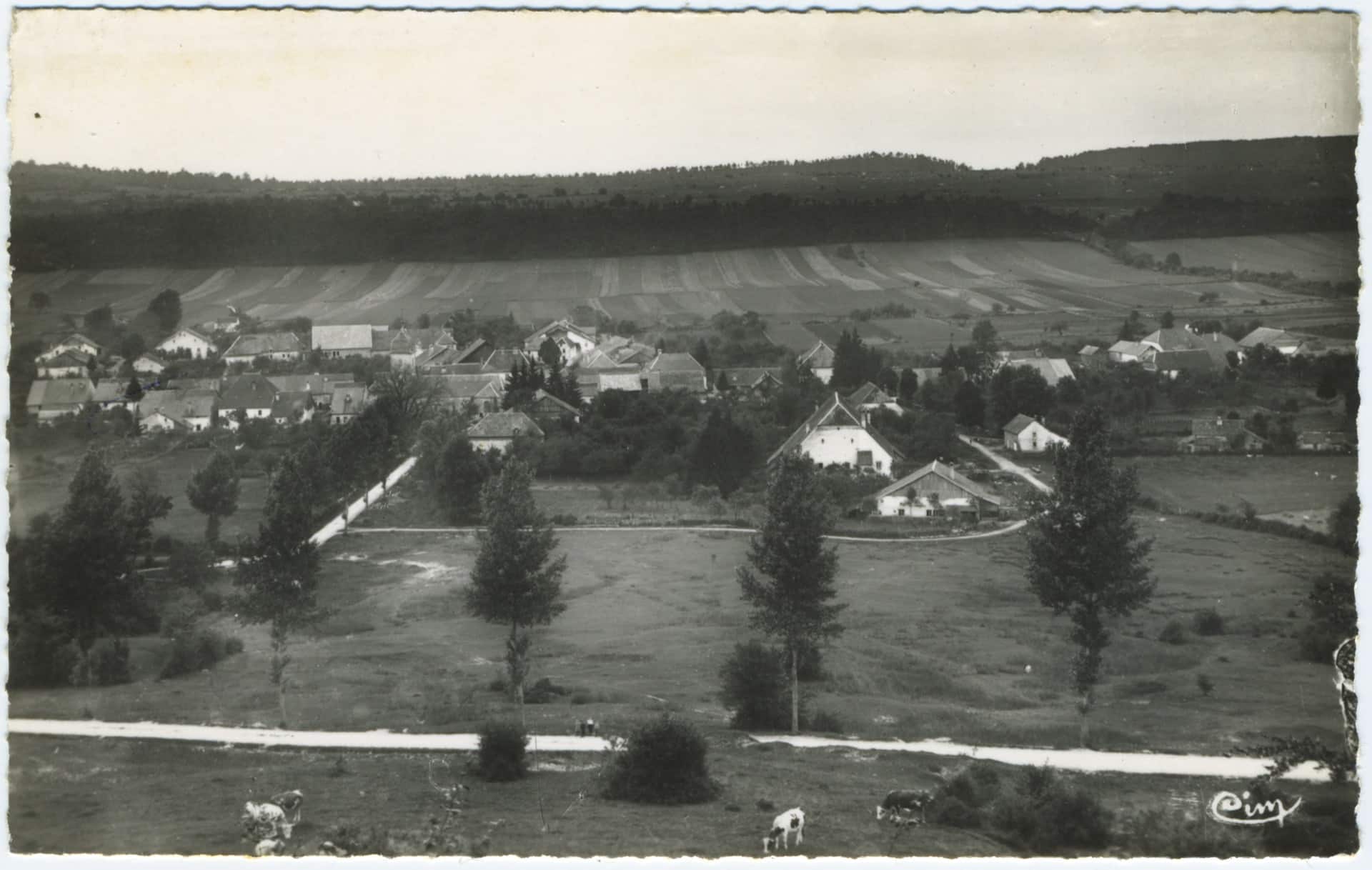 Carte postale en noir et blanc aux bords dentelés montrant une vue générale de Landresse. Les maisons du village sont entourées de verdure et des vaches paissent au premier plan. Le logo circulaire de l'éditeur Cim est visible en bas à droite.