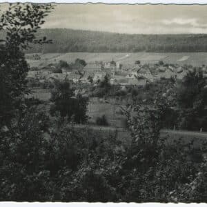 Carte postale moderne en noir et blanc aux bords dentelés de Landresse. Le village et son clocher sont photographiés au loin à travers un écran de feuillages au premier plan. Inscription Péqui visible en bas à droite.